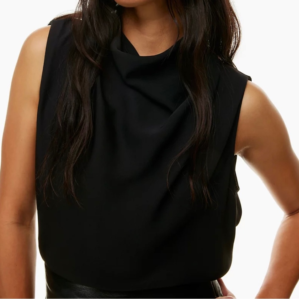 Aritzia Babaton Carter Blouse